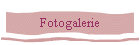 Fotogalerie